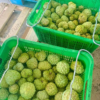 Fresh sugar apple (organic fruits)-US - Image 3